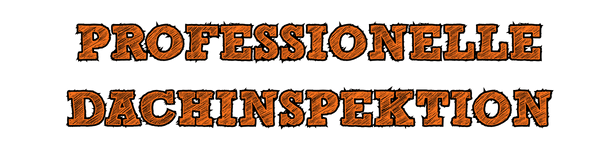 Professionelle Dachinspektion